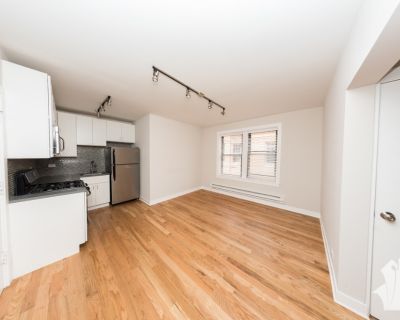 0 Bedroom 1BA Pet-Friendly Apartment For Rent in Chicago, IL