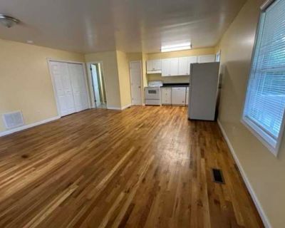 3 Bedroom 2BA 1100 ft Apartment For Rent in Asheville, NC