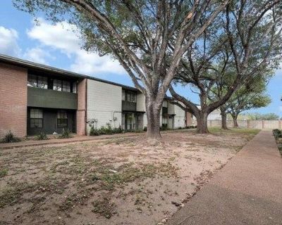 1 Bedroom 1BA Furnished Condo For Sale in Edinburg, TX