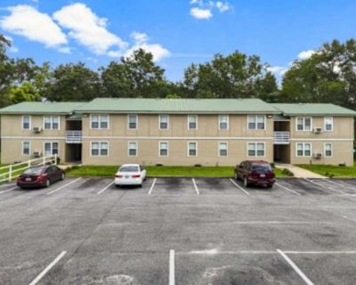 1 Bedroom 1BA 416 ft Pet-Friendly Apartment For Rent in Washington County, FL