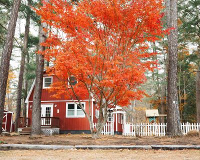 2 Bedroom 1BA 956 ft Single Family House For Sale in Tamworth, NH