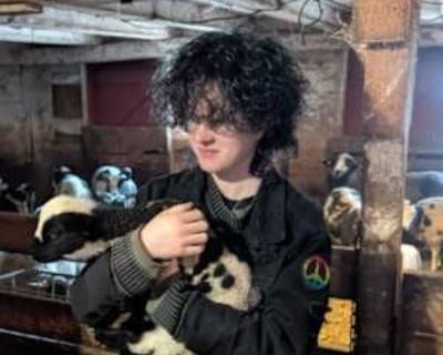 Kasandra, 18 years, Female. Looking in: Allentown, Lehigh County, PA