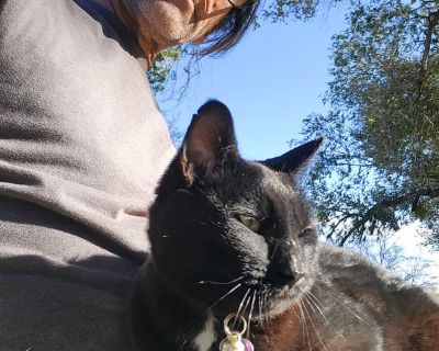 Male Seeking Room in Albuquerque