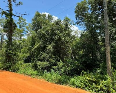 Land For Sale in Marianna, FL