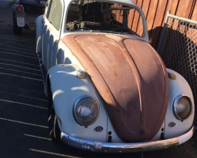 Original paint 1966 Bug project now parting
