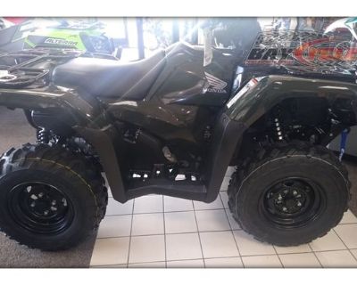 2024 Honda FourTrax Foreman Rubicon 4x4 Automatic DCT EPS ATV Utility Bay City, MI