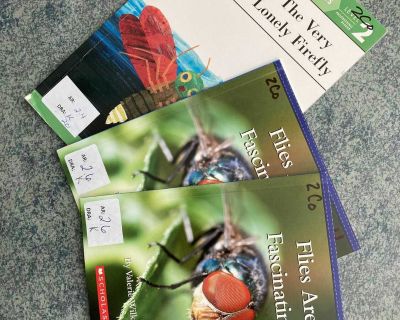 Flies and Firefly books