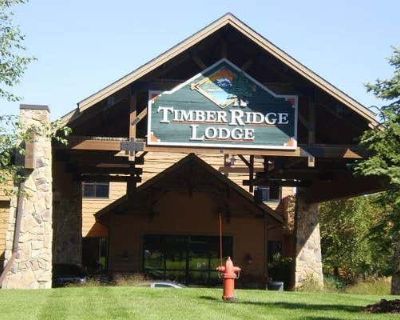 1 Bedroom 1BA 696 ft Furnished Condominium For Sale in LAKE GENEVA, WI