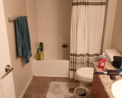 Private room with own bathroom in an apartment with 1 roomie
