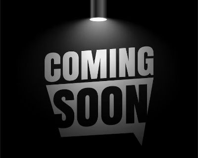 2025 Denago EV Rover XL Electric Golf Carts Sterling, IL