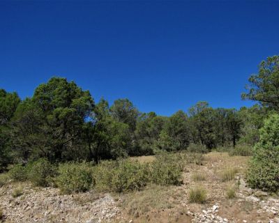 2.01 acres combined in 23 & 29 Calcite Dr. Timberon, NM