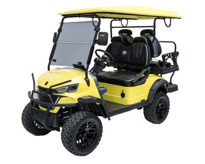 2025 Mammoth EV XR4 Electric Golf Carts New York, NY