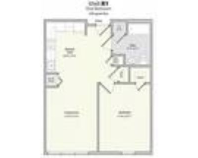 Lofts at 335 - 1 Bedroom B1