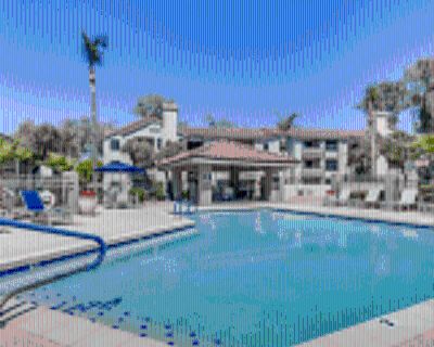 1 Bedroom 1BA 650-915 ft² Pet-Friendly Apartment For Rent in Scottsdale, AZ Villa Montana Apartments