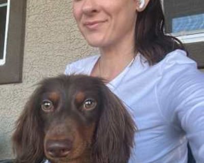 Has a dog * Interested in teaming-up. Budget: $1,000 per month. Ready to move: January 5. Looking for myself. I work from home remotely with Marriott. Been with my company over 4 yrs. I do have a small mini dachshund that stays under me all times. I m a very quiet person. Other than times that I m taking calls for work. I do like to prepare my meals I don t eat out a lot. I am a clean freak so ...