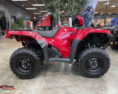 2026 Honda FourTrax Foreman Rubicon 4x4 EPS ATV Utility White Bear Lake, MN