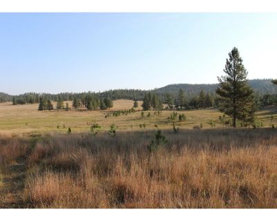 Land For Sale in Custer, SD