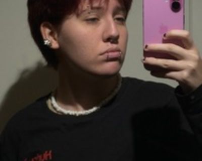 Nicolas H is looking for a New Roommate in Tampa with a budget of $500.00