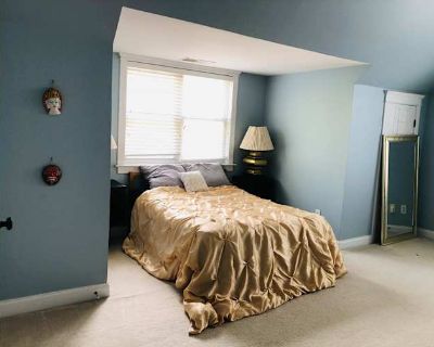 Available on: now. Furnished. Pet friendly. Parking available * LGBTQ+ friendly * Cat friendly * Students welcome * 40+ years welcome Pat will require background checks for this room Learn more. We have a bedroom available in our stunning Traditions view house. Room is fully furnished and common areas have TV, Dinning table and everything that house needs. All professionals live here so no issu...