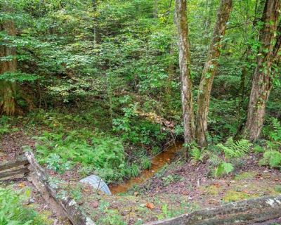 Unimproved Land For Sale in ELLIJAY, GA