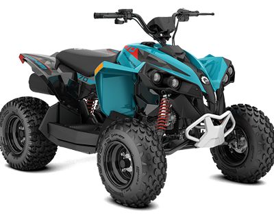 2026 Can-Am Renegade 70 EFI ATV Kids Bay Shore, NY