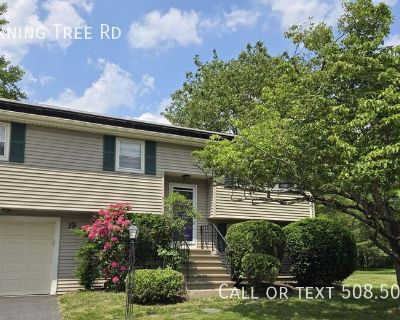 3 Bedroom 2BA 1400 ft Pet-Friendly Single-family home For Rent in Natick, MA