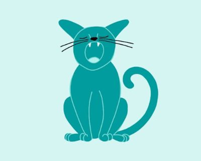 Isabelle - Domestic Shorthair Female Cat for Adoption