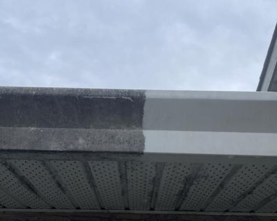 Gutter cleaning