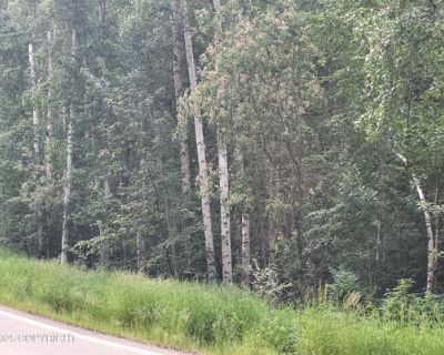 Unimproved Land For Sale in FAIRBANKS, AK