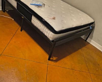 pearla - Needs a House or a Room