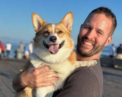 Non-smoker * Has a dog * Interested in teaming-up. Budget: $1,600 per month. Ready to move: now. Looking for myself. I m a quiet, clean, considerate working professional. I have a small dog (corgi) who is 5 years old and very well-behaved. I m a good person, very respectful and easy to get along with. Always open to communicating and working through any misunderstandings or concerns.