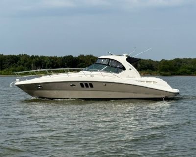 Sea Ray 38 2006