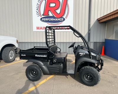 2025 Kawasaki MULE SX 4x4 Utility SxS Ottumwa, IA