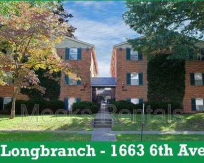 1 Bedroom 1BA 550 ft Pet-Friendly Apartment For Rent in Huntington, WV