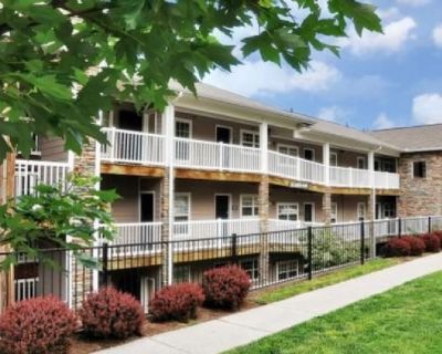 Village of Meadowview