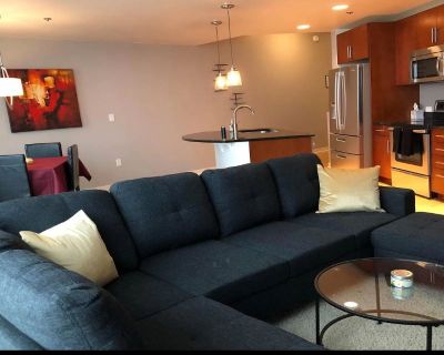 1 Bedroom 1 BA 816 ft Furnished Apartment for Rent in Lodo, Colorado
