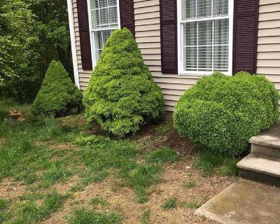Lawn Mowing Services CT | Hedge Trimming Services Near Me | Landscaping Company CT