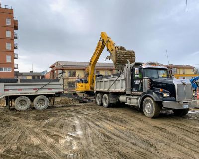 ***Dump Truck and Pup***