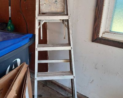 Metal ladder, folds to store, free!
