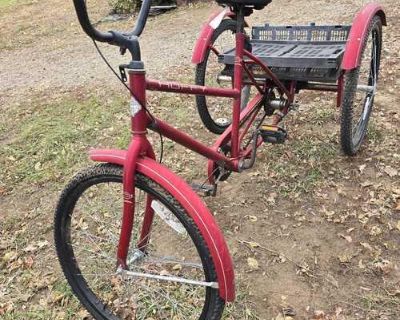 Perfect congratulations