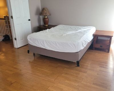 Furnished Room for Rent - A person and their cat looking for a roommate