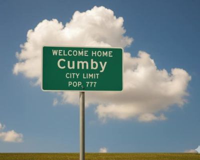 3 Bedroom 1BA 1144 ft Single Family Home For Sale in CUMBY, TX