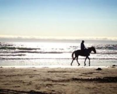 Great Vacation area - CALIFORNIA