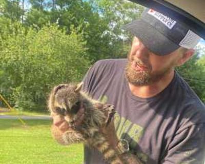 Michael, 41 years, Male. Looking in: Trussville, Jefferson County, AL