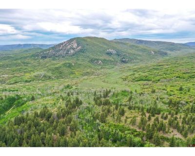 Lots And Land For Sale in Dolores, CO