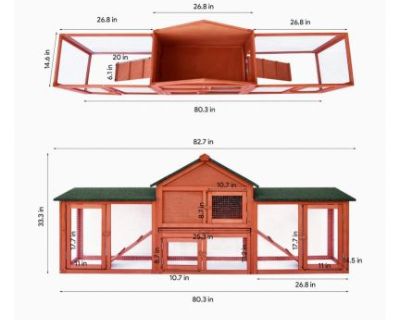 Chicken coop and hens