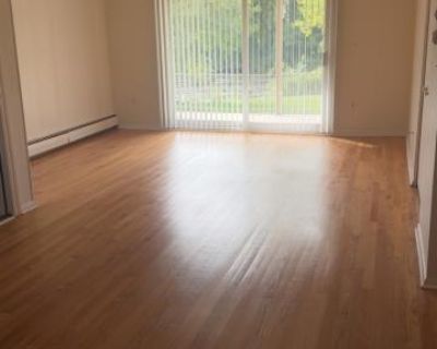 1 Bedroom 1BA 900 ft Pet-Friendly Apartment For Rent in Oakland County, MI
