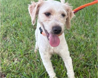 PLEASE APPLY WEBSITE UFAR