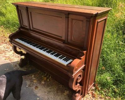 Chickening Upright Piano