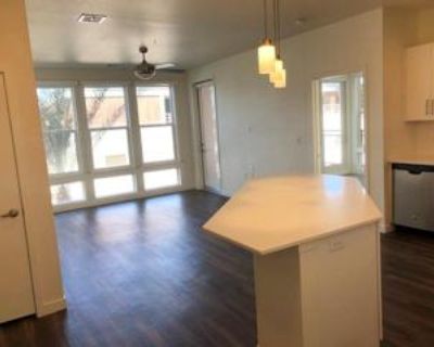 1 Bedroom 1BA 395 ft Furnished Pet-Friendly Apartment For Rent in Las Vegas, NV